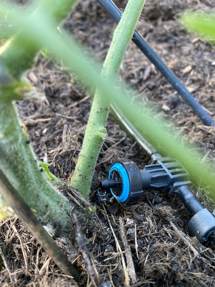 Tröpfchenbewässerung eignet sich ideal, um die Pflanzen im Hochbeet im Sommer zu bewässern, ohne dass sie verbrennen