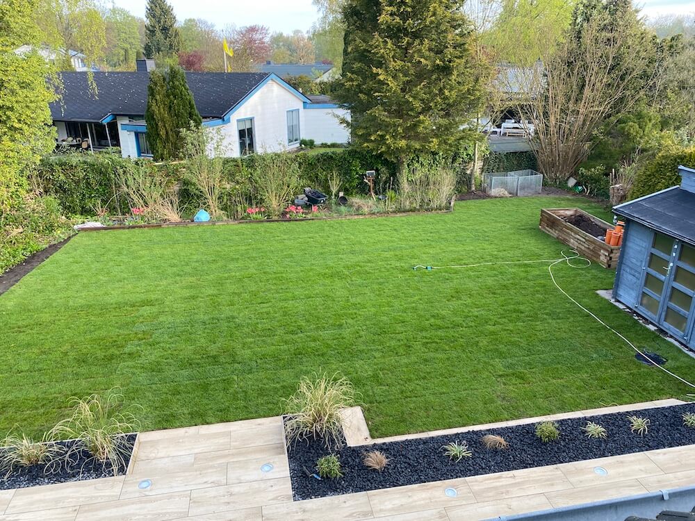 Rollrasen fertig verlegt - Hier findest du eine Anleitung, Tipps zum Anwachsen und wann die beste Jahreszeit ist