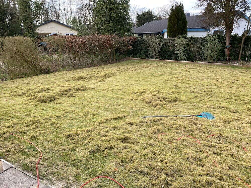 Moos dauerhaft entfernen - Tipps und Anleitungen, wie man Moos aus dem Rasen entfernt